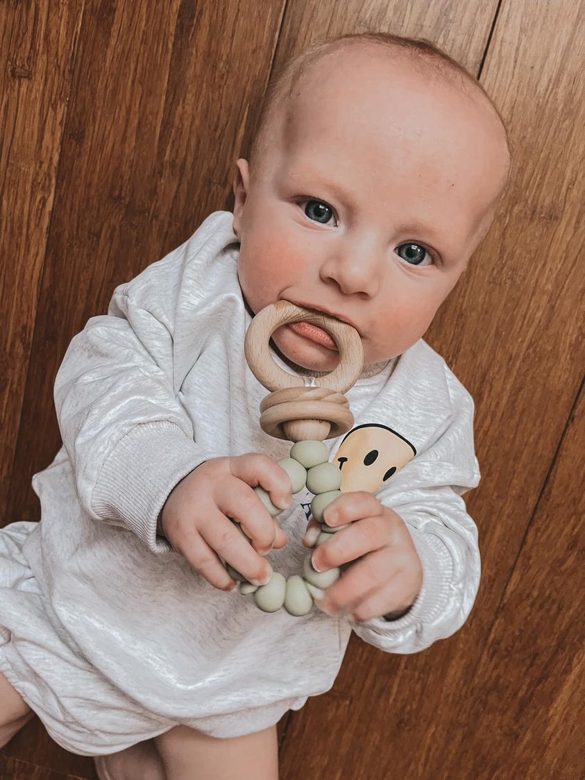 Shaker Rattle Toy
