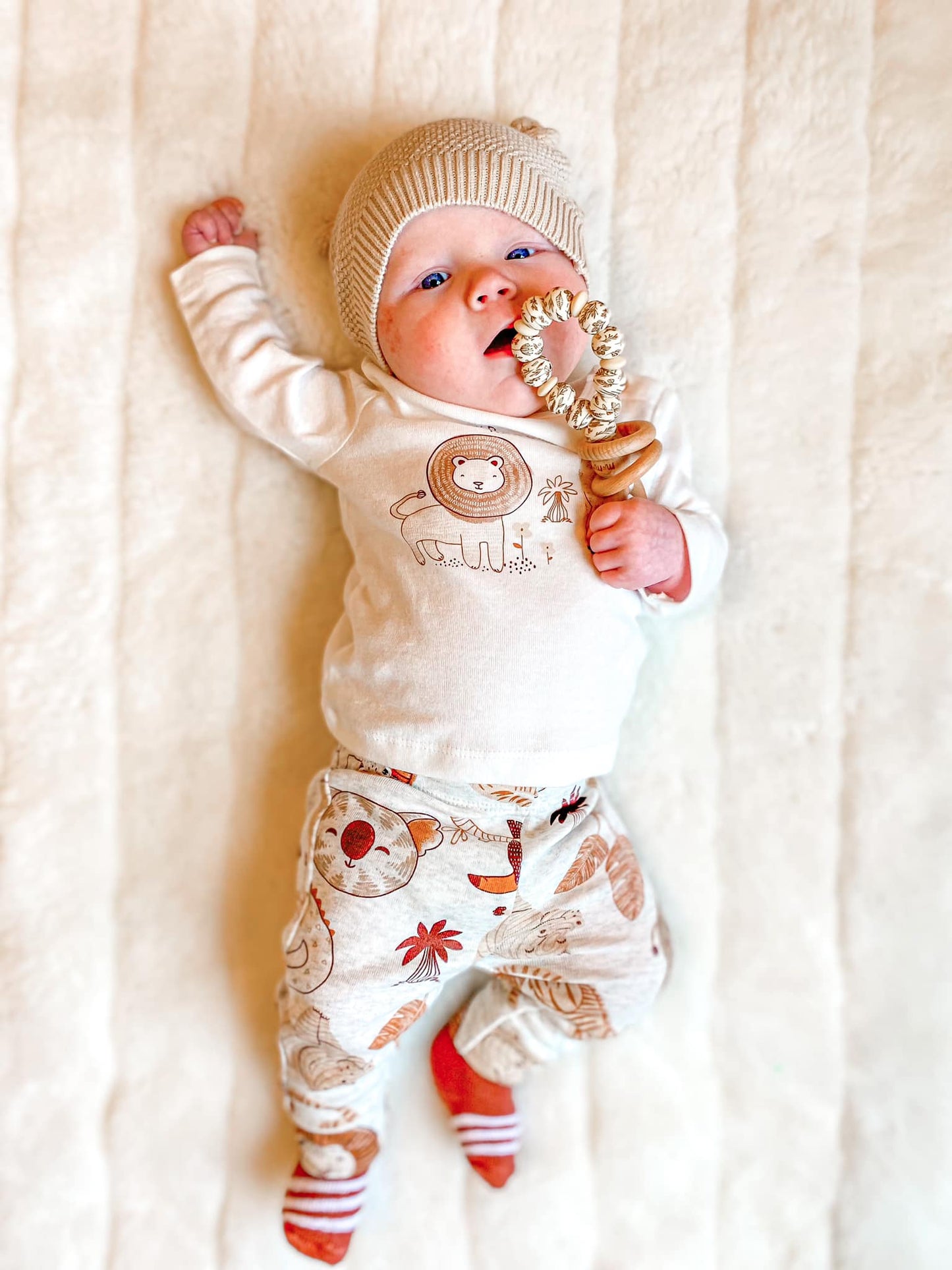 Shaker Rattle Toy