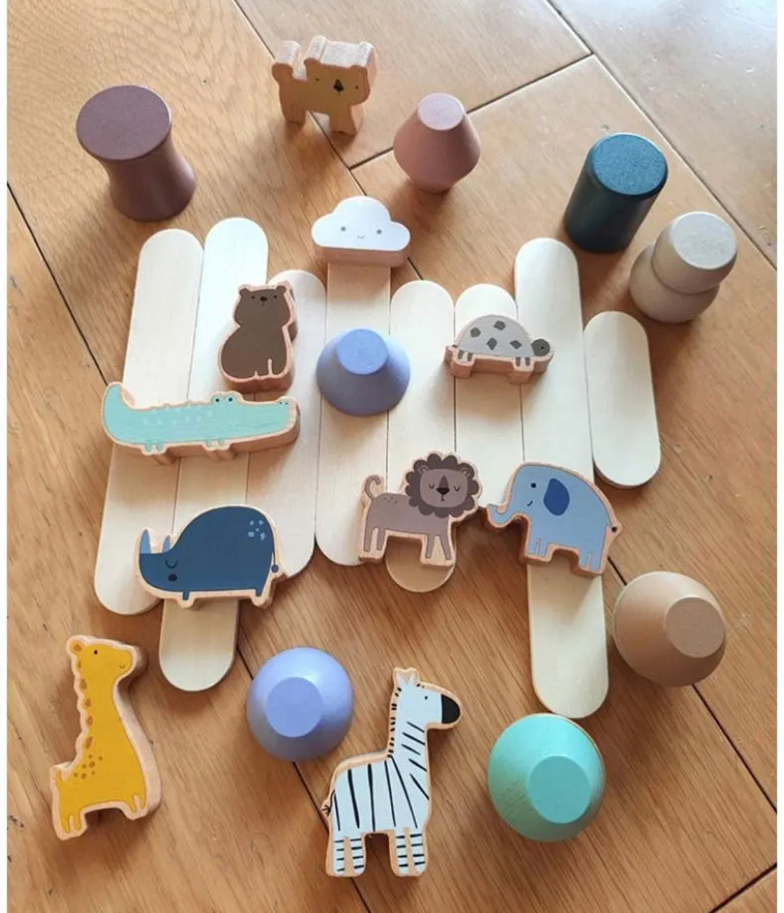 Animal Balance Toy