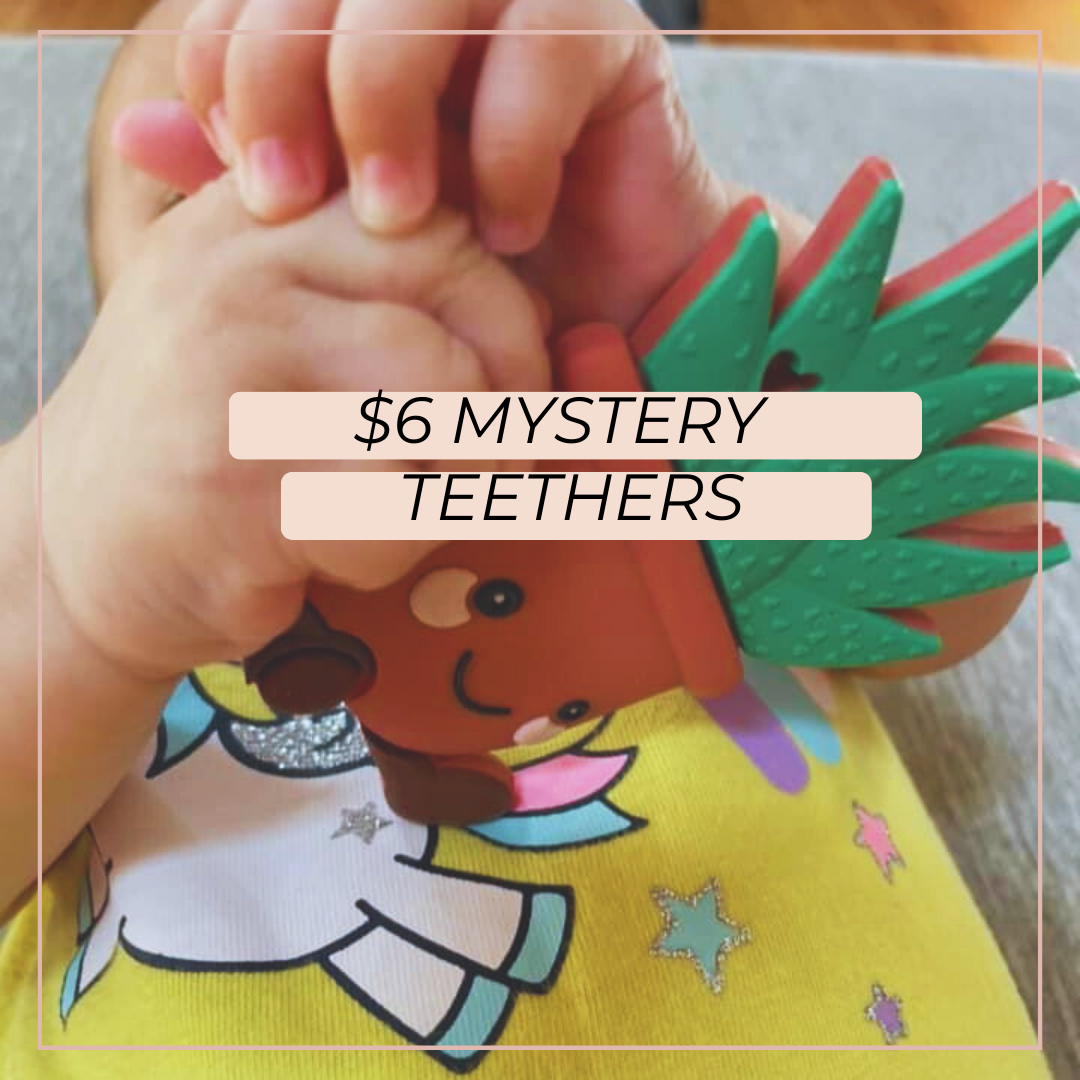 $6 Mystery Teether