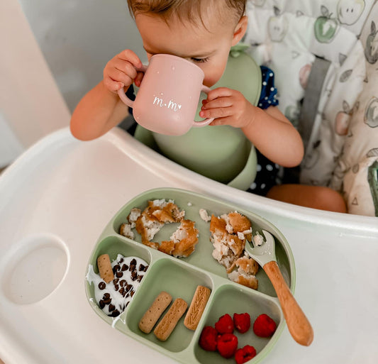 25 Organic Toddler Meal Ideas